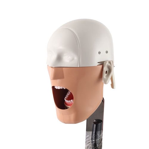 Учебный манекен для ухода за зубами - JG-C3 - FOSHAN JINGLE MEDICAL EQUIPMENT CO., LTD - для стоматологии / для образовательных целей / для обучения