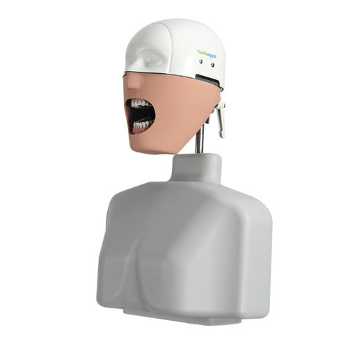 Учебный манекен для ухода за зубами - JG-C2 - FOSHAN JINGLE MEDICAL EQUIPMENT CO., LTD - эндодонтологический / острого одонтогенного периостита / стоматологическая консервация
