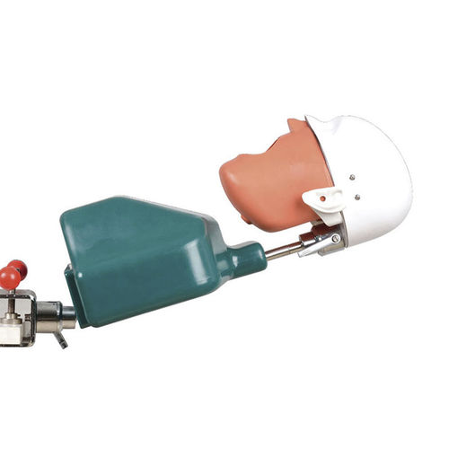 Учебный манекен для имплантологии - JG-C1 - FOSHAN JINGLE MEDICAL EQUIPMENT CO., LTD - эндодонтологический / для гигиены полости рта / для удаления зубов
