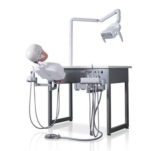 Медицинский симулятор для образовательных целей - JG-A5 - FOSHAN JINGLE MEDICAL EQUIPMENT CO., LTD - учебный / для гигиены полости рта / для стоматологии