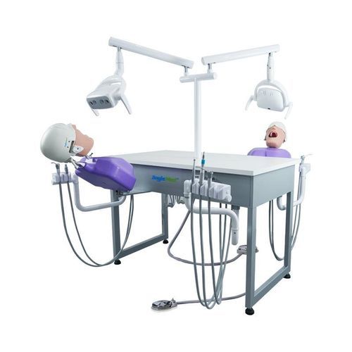 Медицинский симулятор для образовательных целей - JG-A4 - FOSHAN JINGLE MEDICAL EQUIPMENT CO., LTD - учебный / для ухода за зубами / для гигиены полости рта