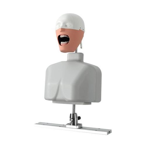 Учебный манекен для ухода за зубами - JG-C8 - FOSHAN JINGLE MEDICAL EQUIPMENT CO., LTD - для гигиены полости рта / для оказания общей помощи / для образовательных целей