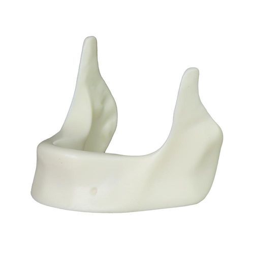 Анатомическая модель нижней челюсти - JG-Y12-Y - FOSHAN JINGLE MEDICAL EQUIPMENT CO., LTD - для ухода за зубами / хирургическая / для имплантологии