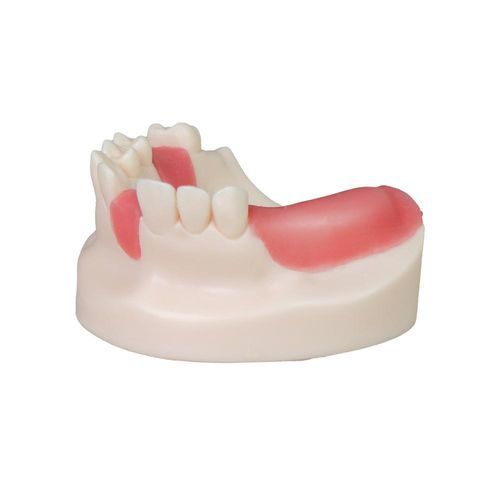 Анатомическая модель зубов - JG-Y8-F6 - FOSHAN JINGLE MEDICAL EQUIPMENT CO., LTD - десен / хирургическая / для имплантологии