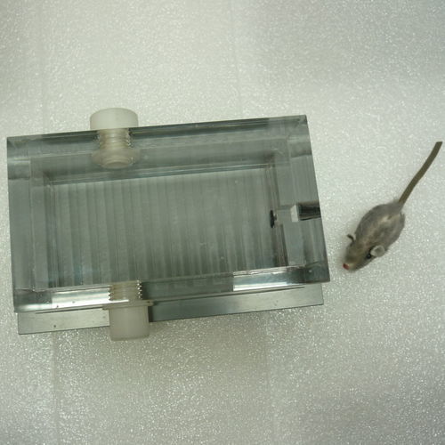 Индукционная камера ветеринарной анестезии - PS-0351-SIK - Rothacher Medical - для мышей