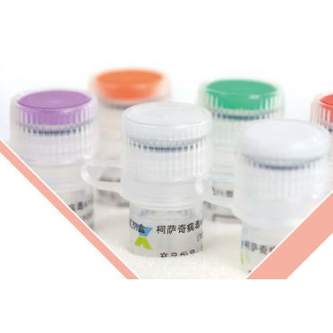 Набор для теста на инфекционные заболевания - BEIJING APPLIED BIOLOGICAL TECHNOLOGIES - устойчивости / для вируcов / на энтеровирус