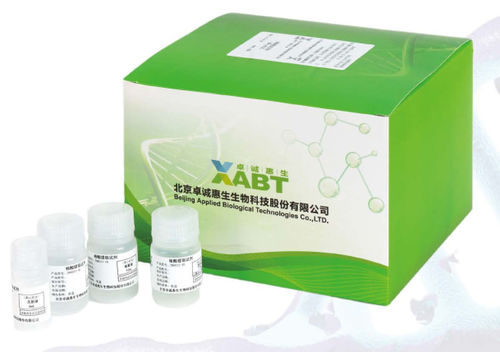 Набор реактивов для нуклеиновых кислот - CN8033-48 - BEIJING APPLIED BIOLOGICAL TECHNOLOGIES - протеиназа К / буферный раствор / извлечение ДНК