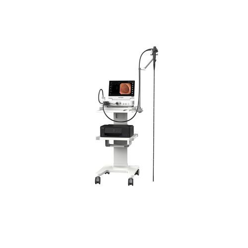 Ветеринарный гастроскоп видео - VHP-1315 pro - Zhuhai Seesheen Medical Technology - для крупных животных