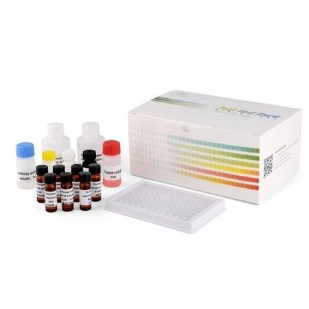 Ветеринарный набор для теста - PRRSV - ROC Biotech Inc. - для животных / для вируcов / крови