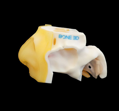 Учебный медицинский симулятор - NASO-Train  - Bone 3D - для анализа из носоглотки / для хирургии / COVID-19