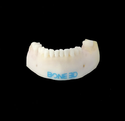 Учебный медицинский симулятор - BUCCO-Train - Bone 3D - для стоматологической хирургии / для хирургии рта / для ухода за зубами