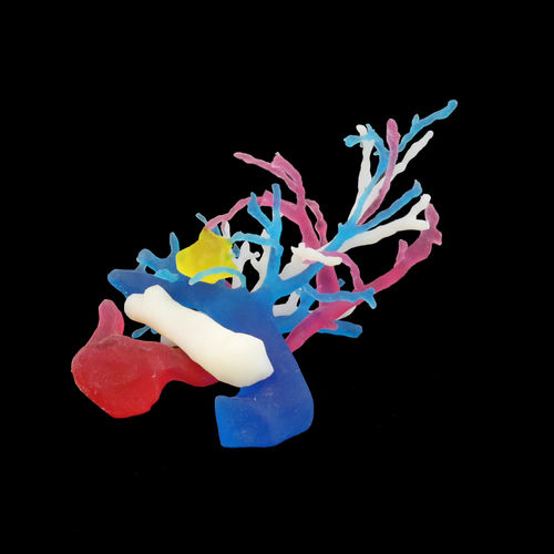 Анатомическая модель бронха - Bone 3D - учебная / портативная