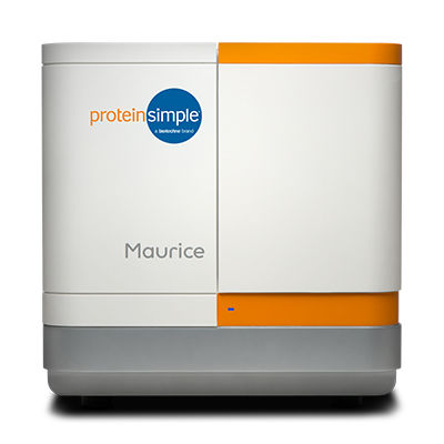 Капиллярная система электрофореза - Maurice - ProteinSimple - с изоэлектрической фокусировкой / додецилсульфат натрия / для протеинов