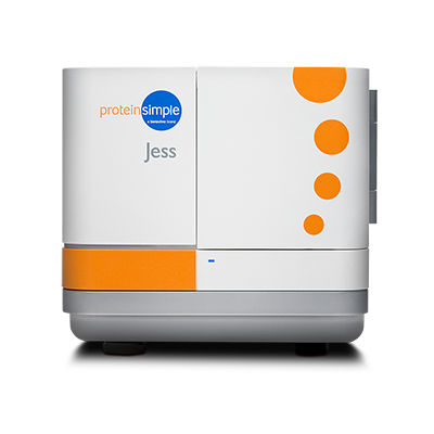 Автоматизированный анализатор для вестерн-блоттинга - Jess - ProteinSimple