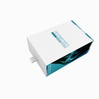 Тканевая матрица ортопедическая хирургия - Cartilago®  - Biolot Medical - из полигликолевой кислоты (PGA) / ГАП / рассасывающаяся
