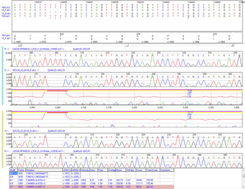 Программное обеспечение для последовательности оснований в ДНК - Mutation Surveyor® - SoftGenetics, LLC. - для анализа / для лабораторий / автоматизированное