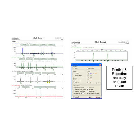 Программное обеспечение для анализа - GeneMarker®HID  - SoftGenetics, LLC. - медицинское / при помощи капиллярного электрофореза