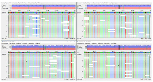 Программное обеспечение для анализа - GeneMarker®HTS  - SoftGenetics, LLC. - для контроля / для составления отчетности / cеквенирование нового поколения (NGS)
