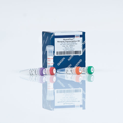 Набор реактивов для RT-PCR - QuantiTect - QIAGEN - обратная транскриптаза / для синтеза cDNA / геномная ДНК