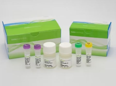 Набор реактивов в растворе - KAPA HyperPrep  - Roche Sequencing Solutions - ДНК-полимераза / для исследований / cеквенирование нового поколения (NGS)