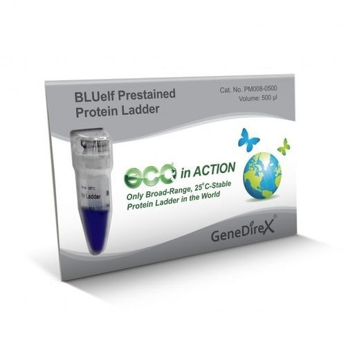 Реактив шкала белков - BLUelf   - GeneDireX, Inc. - для вестерн-блоттинга