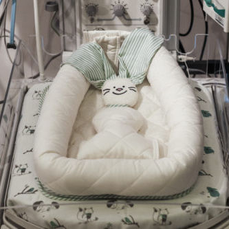 Медицинская люлька - Baby Nest - Baby Comfort
