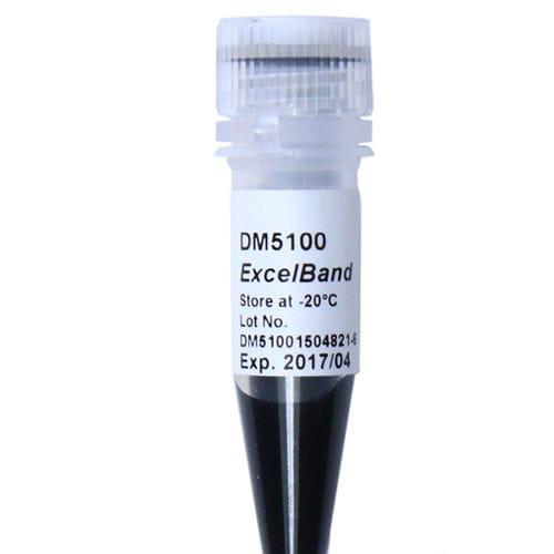 Реактив ДНК-диагностика - ExcelBand™ - SMOBIO Technology, Inc. - фермент / краситель / для электрофореза