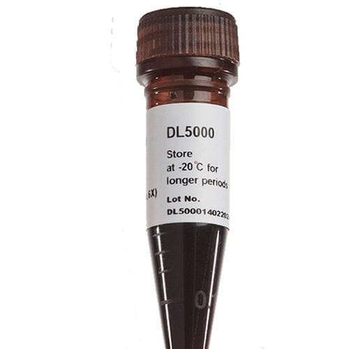 Реактив краситель - FluoroDye™ - SMOBIO Technology, Inc. - извлечение ДНК / глицерола