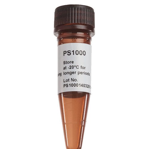 Реактив красящий раствор - FluoroStain™ - SMOBIO Technology, Inc. - краситель / для микробиологии / для протеинов