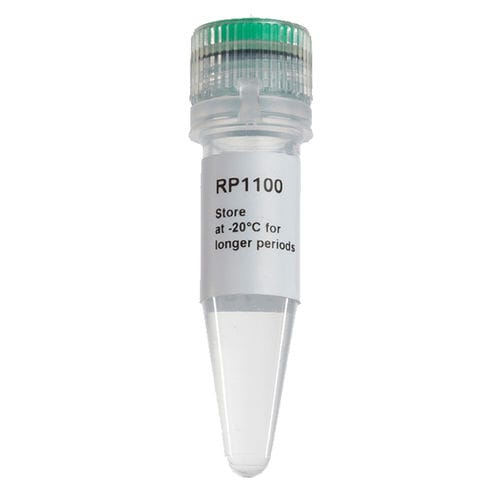 Реактив фермент - ExcelRT™ - SMOBIO Technology, Inc. - для PCR / для RT-PCR