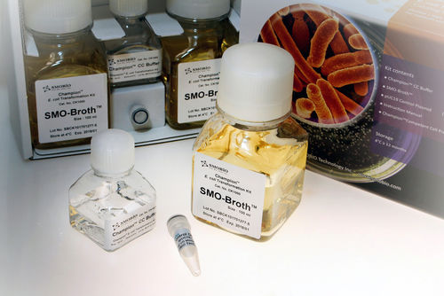 Набор для теста на инфекционные заболевания - Champion™ - SMOBIO Technology, Inc. - Escherichia coli (кишечная палочка) / для клеток