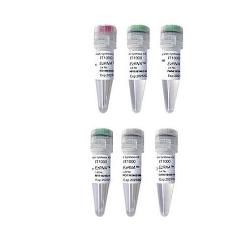 Набор реактивов фермент - EzRNA™ T7  - SMOBIO Technology, Inc. - для транскрипции in vitro / для синтеза РНК / хлорида
