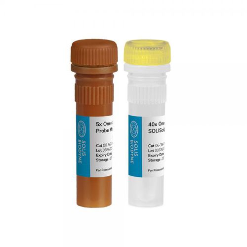 Набор реактивов в растворе - SOLIScript® 1-step Probe  - Solis BioDyne - фермент / для исследований / для диагностики