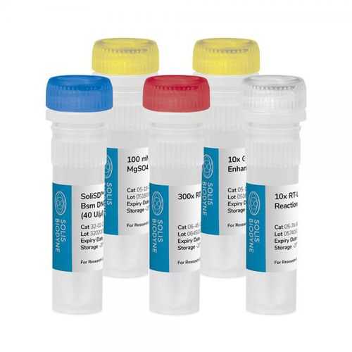 Набор реактивов ДНК-полимераза - SoliSD™ Lyo-compatible RT-LAMP Kit - Solis BioDyne - для изотермической амплификации / LAMP kit