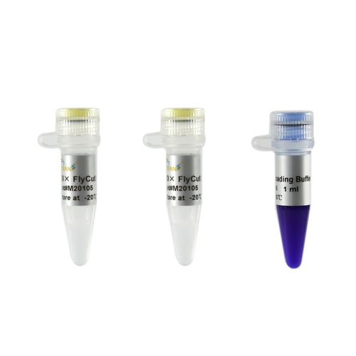 Реактив фермент - FlyCut® SphI - TransGen Biotech Co. - для молекулярной биологии / Escherichia coli (кишечная палочка)