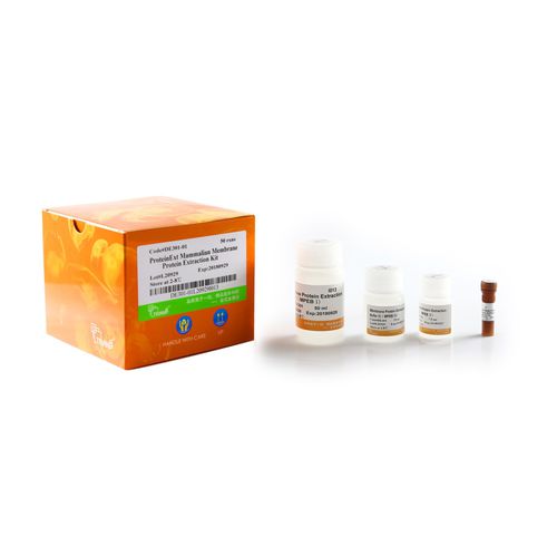 Набор реактивов протеаз - ProteinExt® - TransGen Biotech Co. - для вестерн-блоттинга / для теста ELISA / для протеинов