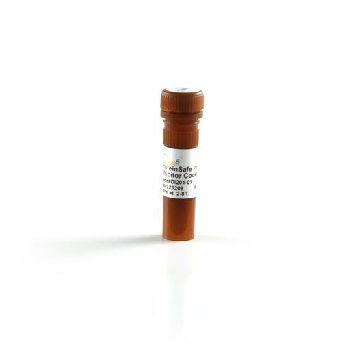 Реактив фосфатный буфер - ProteinExt™ - TransGen Biotech Co. - для вестерн-блоттинга / для протеинов / натрия