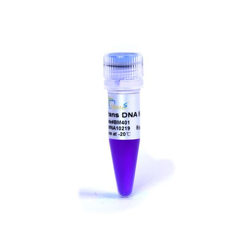Реактив агарозный гель - Trans - TransGen Biotech Co. - ДНК-диагностика / для молекулярной биологии / для нуклеиновых кислот