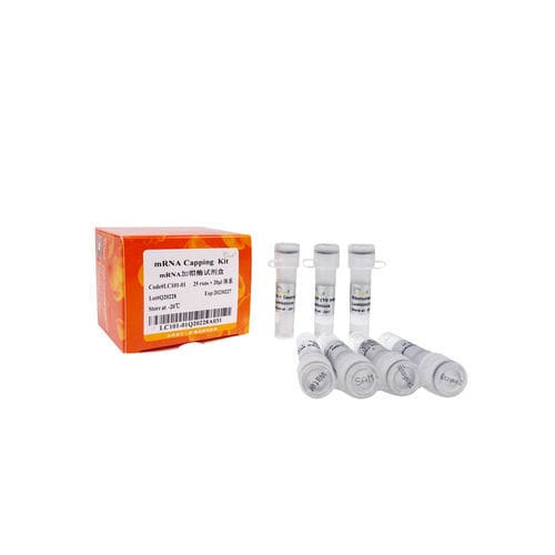 Набор реактивов фермент - LC101-0 series - TransGen Biotech Co. - для транскрипции in vitro / для вируcов / энзиматический