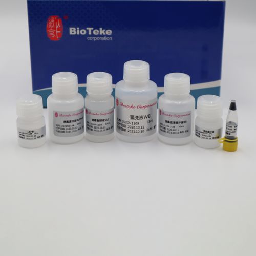 Набор реактивов Taq-полимераза - AU17012 - Bioteke Corporation - для PCR / для нуклеиновых кислот