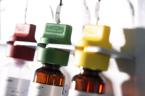 Набор реактивов в растворе - Celsis AMPiScreen® - Charles River Laboratories - фермент / для микробного загрязнения / ATP