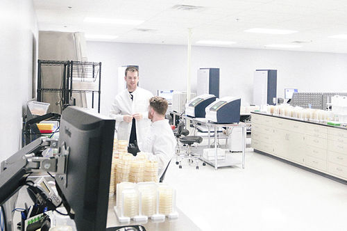 Автоматическое устройство бактериальной идентификации MALDI-TOF - AccuPRO-ID®  - Charles River Laboratories
