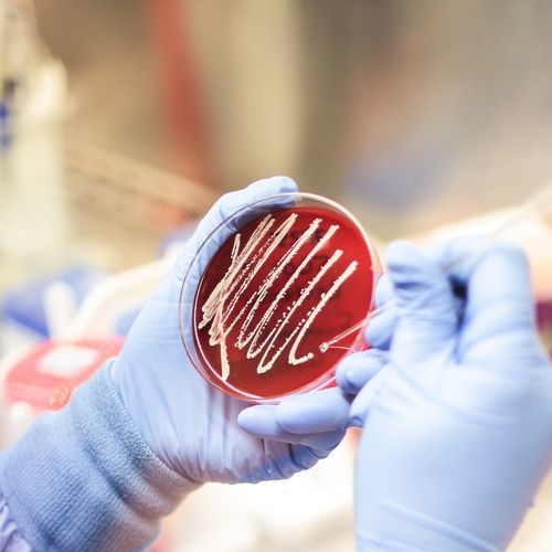 Программное обеспечение для управления документами - AccuGENX-ST®  - Charles River Laboratories - с системой отслеживания / медицинское / для последовательности оснований в ДНК