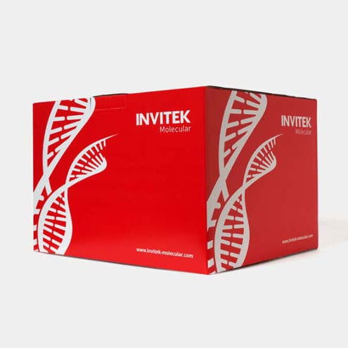 Набор для теста на инфекционные заболевания - 1050100200 - Invitek Molecular - COVID-19 / для ДНК / SARS-COV-2
