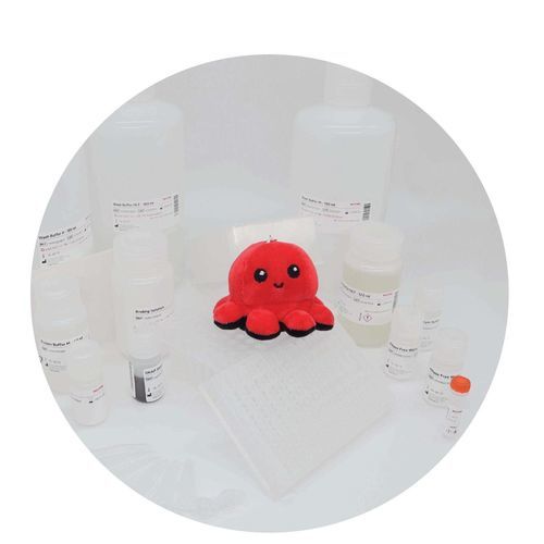 Набор реактивов в растворе - InviMag&reg; Universal Kit/ KF96 - Invitek Diagnostics - извлечение ДНК / для извлечения РНК / для диагностики