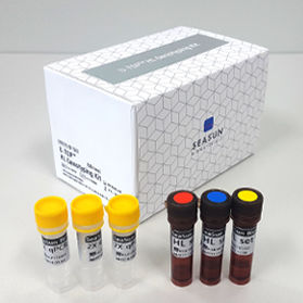 Набор реактивов для генотипажа - U-TOP™ HL - SEASUN BIOMATERIALS INC. - для СМЖ в режиме реального времени / гены