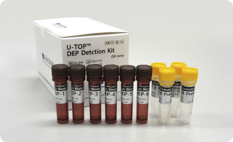 Набор реактивов для СМЖ в режиме реального времени - U-TOP™ DEP - SEASUN BIOMATERIALS INC.