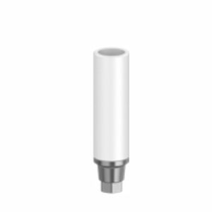 Абатмент из пластика - Bio-P series - Biotec Dental Implant Development GmbH - конический / внутренний шестиугольник / прямой