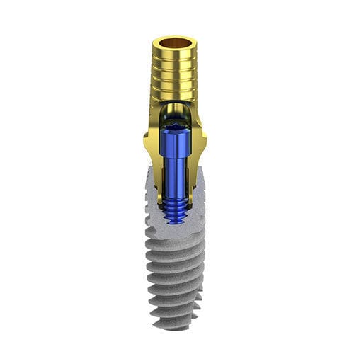 Цилиндрический зубной имплантат - B1 - Biotec Dental Implant Development GmbH - из титана / внутренний / конический