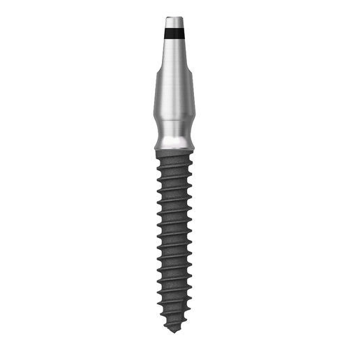 Цилиндрический зубной имплантат - MS - Osstem Implant France - из титана / моноблок / одномоментный